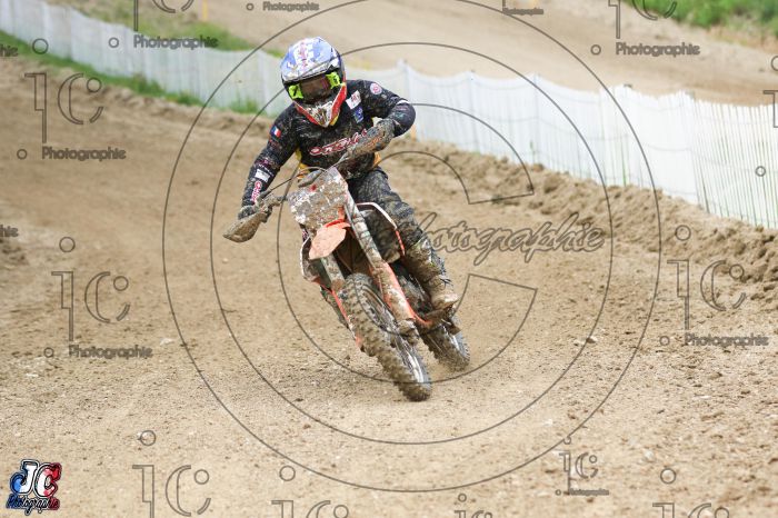 CROSS AMBERT 2023